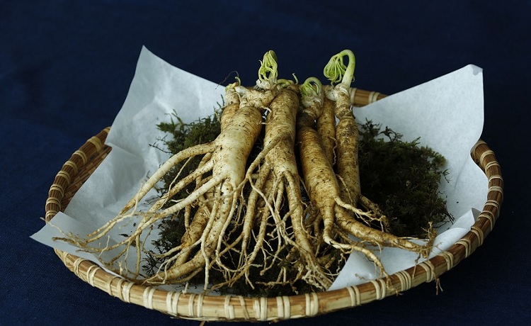 benefici del ginseng