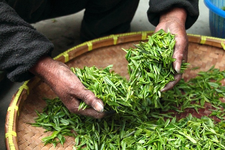 tè verde matcha