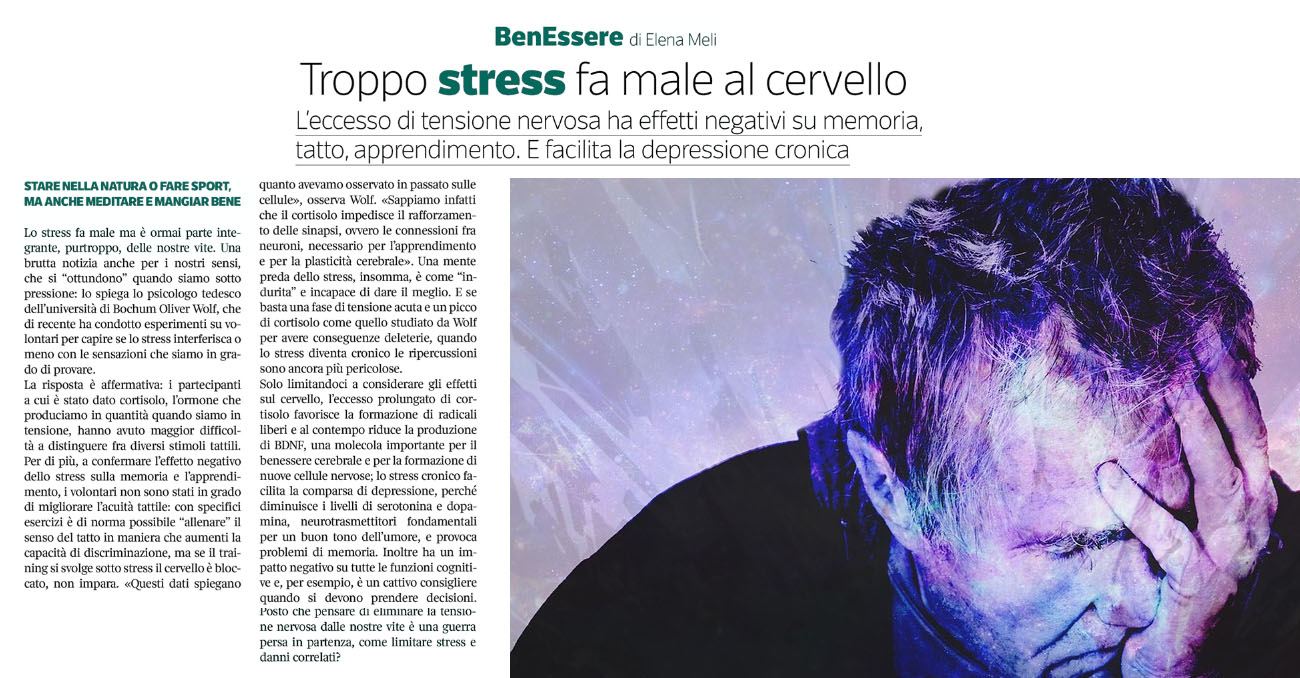 stress-cervello