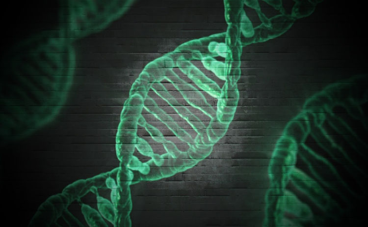 Epigenetica e dna