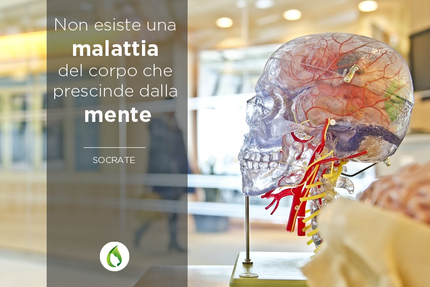 socrate, medicina, salute, naturopatia